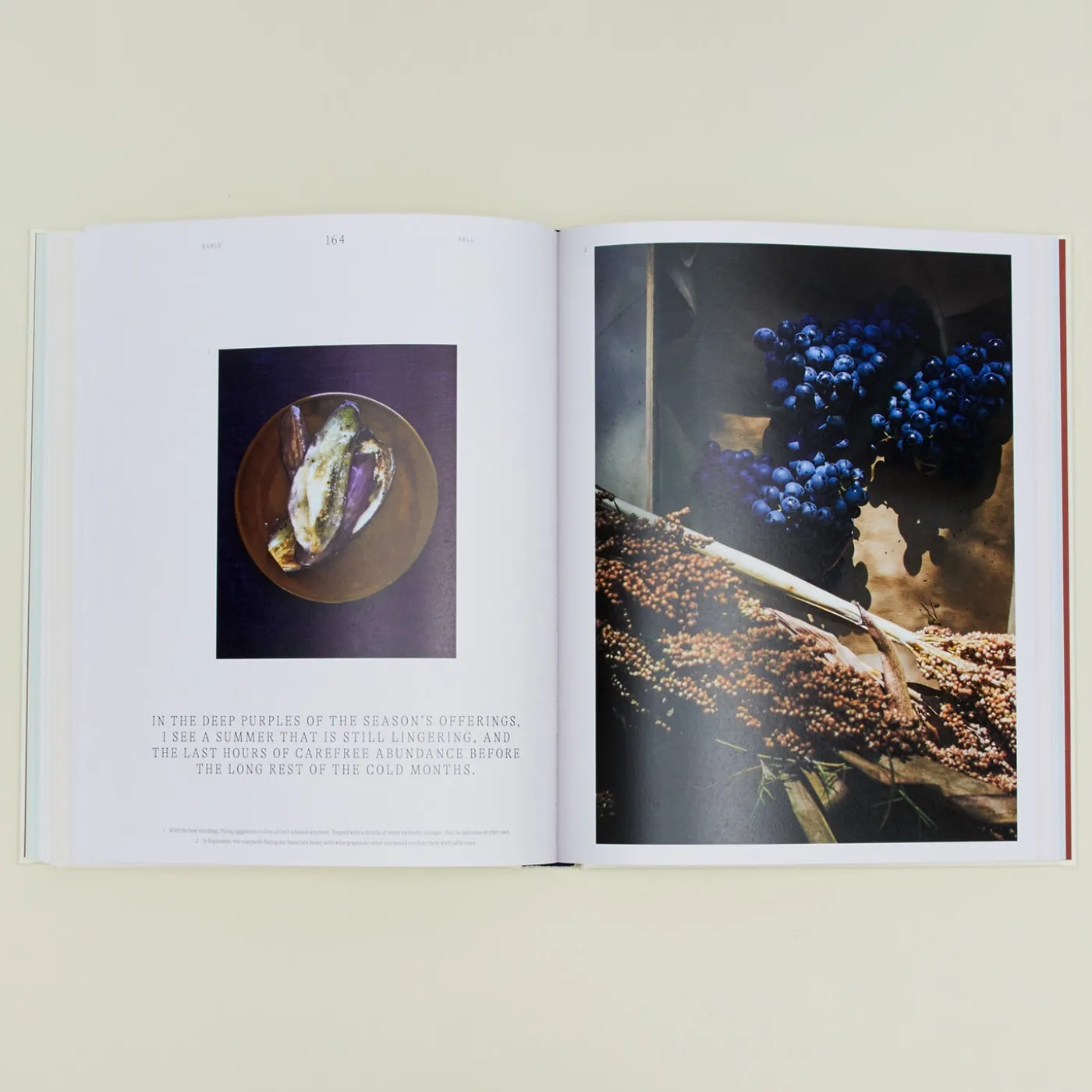 A Spoonful of Sun Book