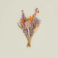 Dried Floral Bouquet - Bright