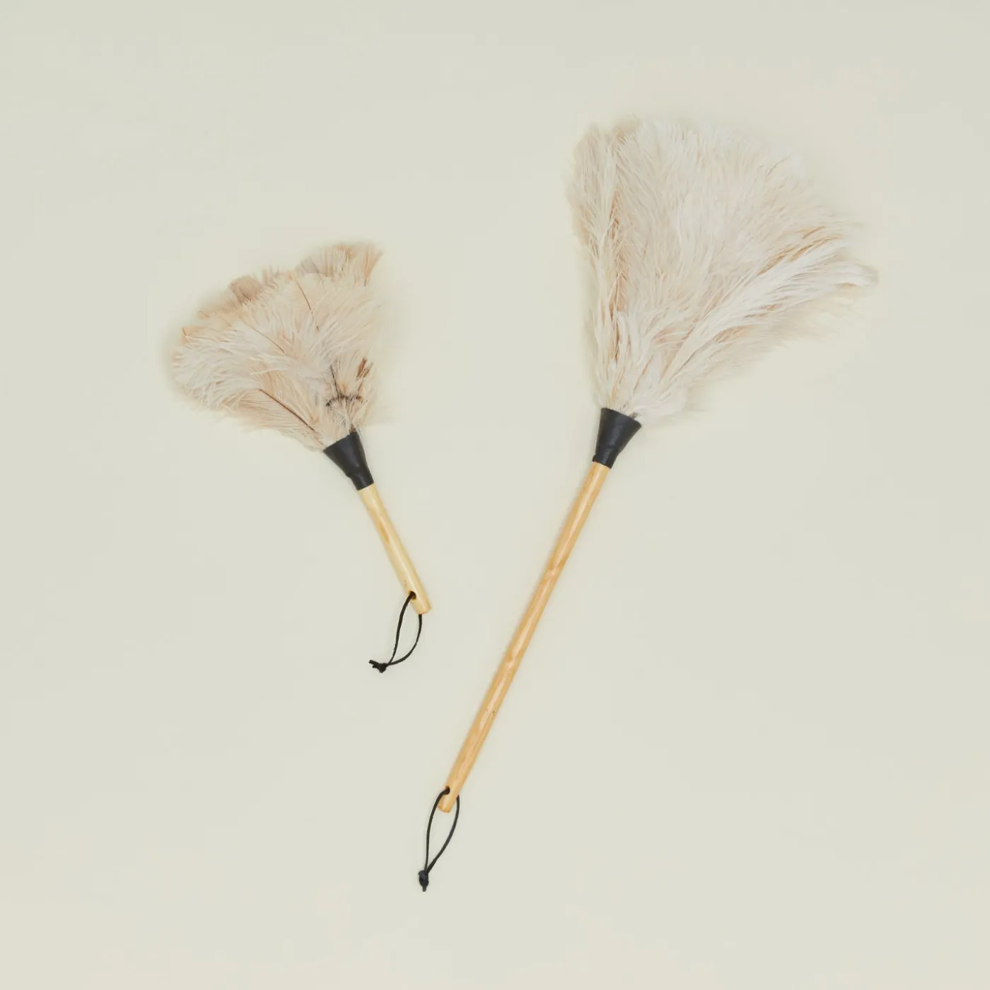 Feather Duster