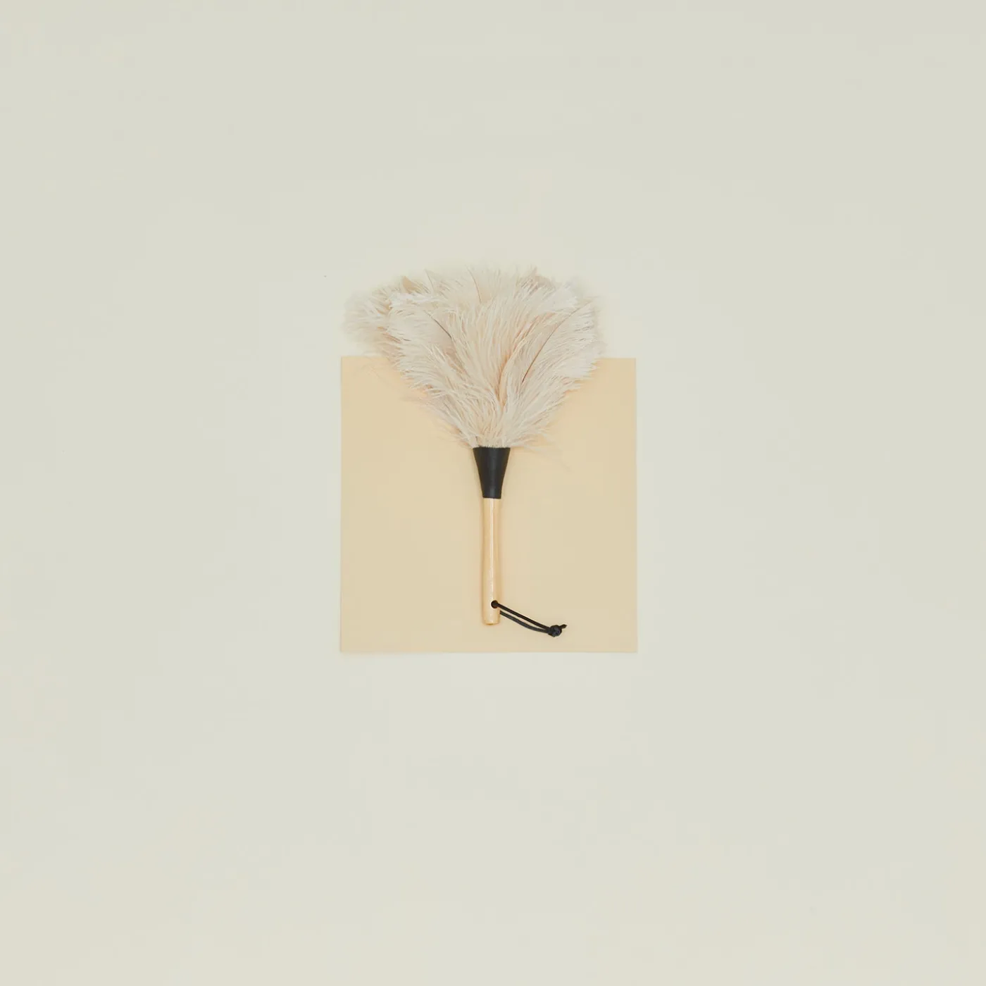 Feather Duster