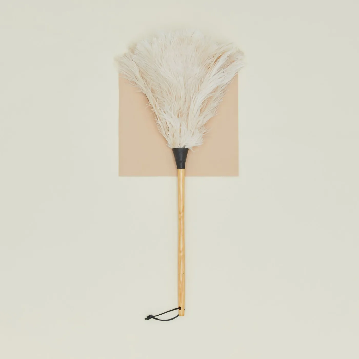 Feather Duster