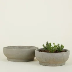 Footed Bowl Planter