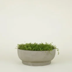 Footed Bowl Planter