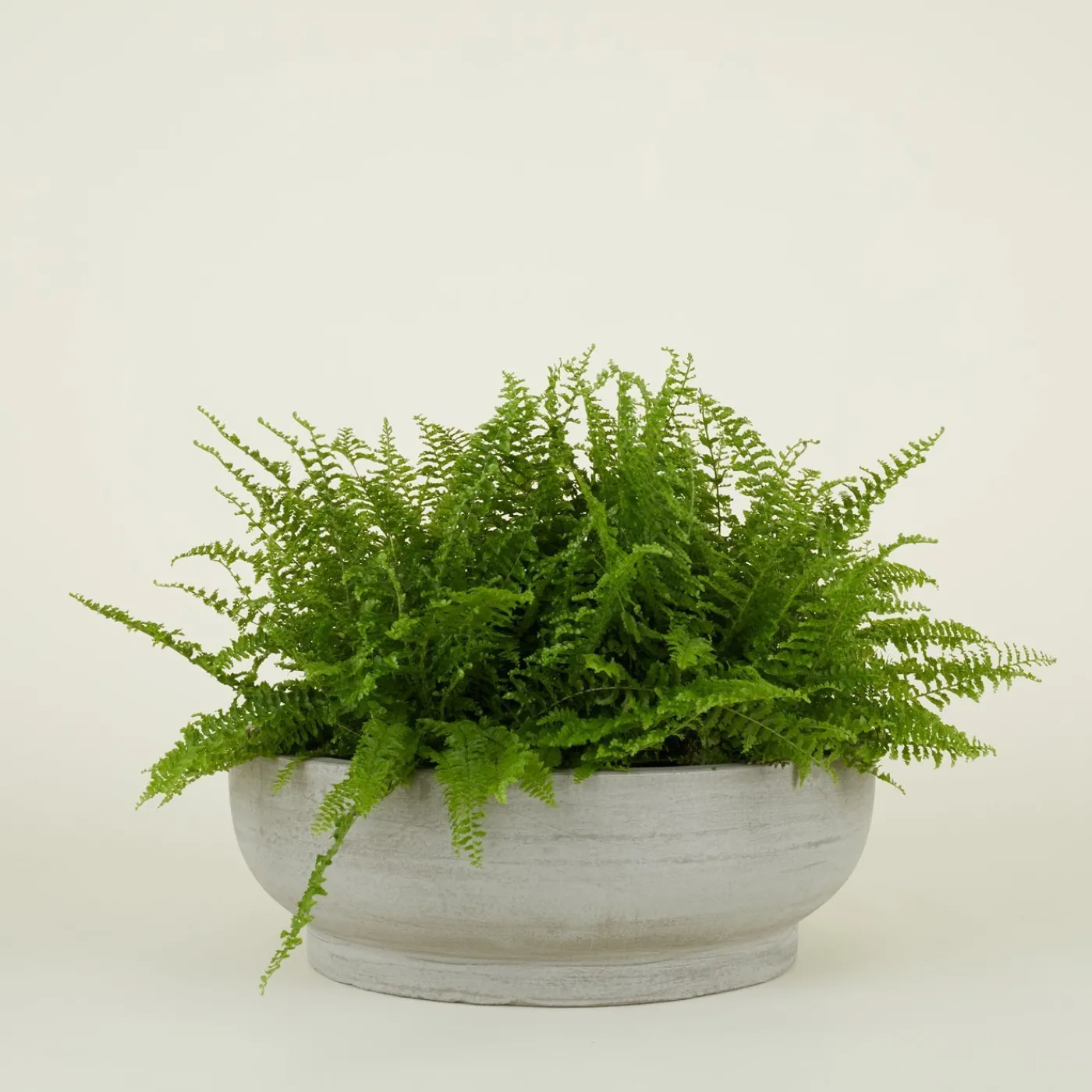 Footed Bowl Planter