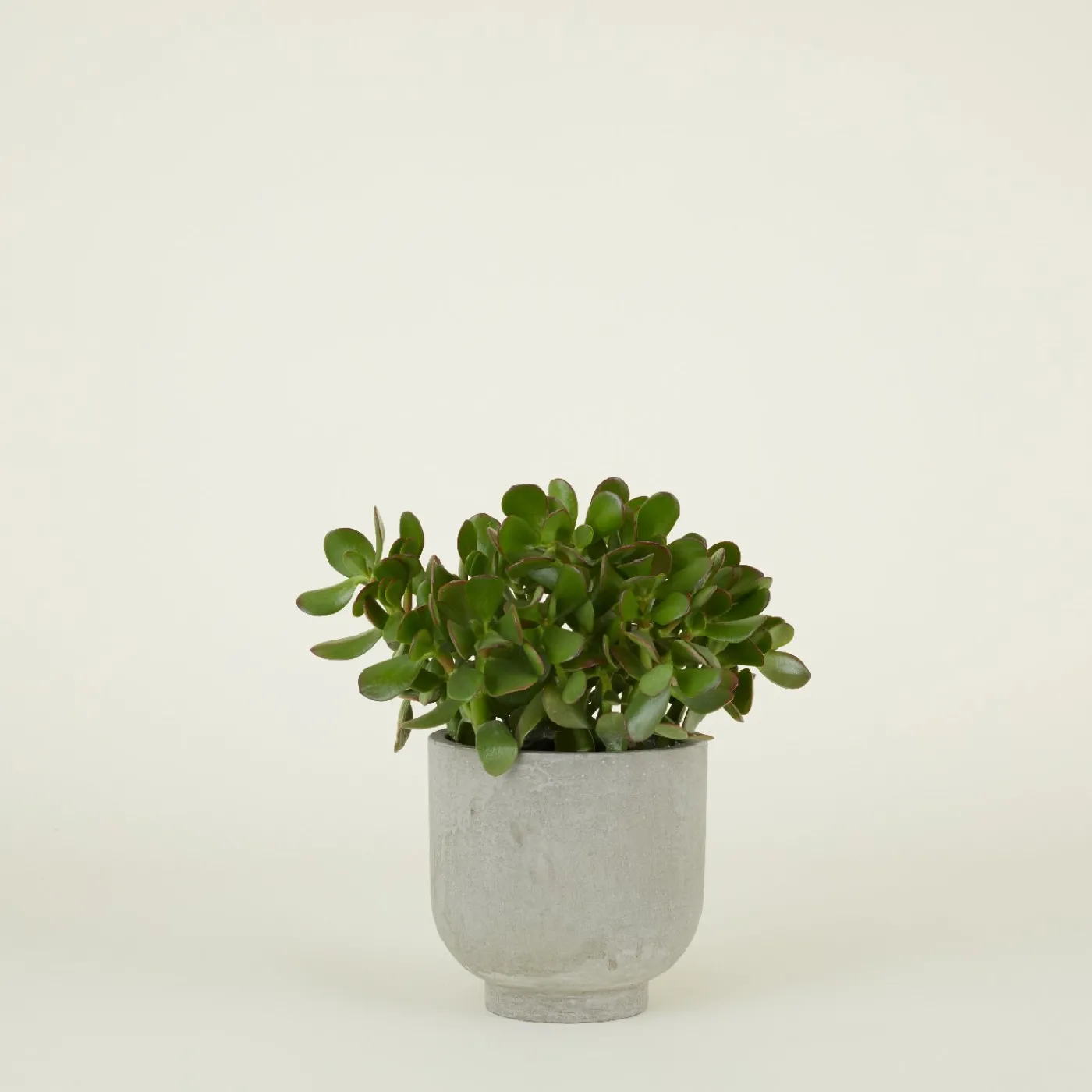 Footed Planter