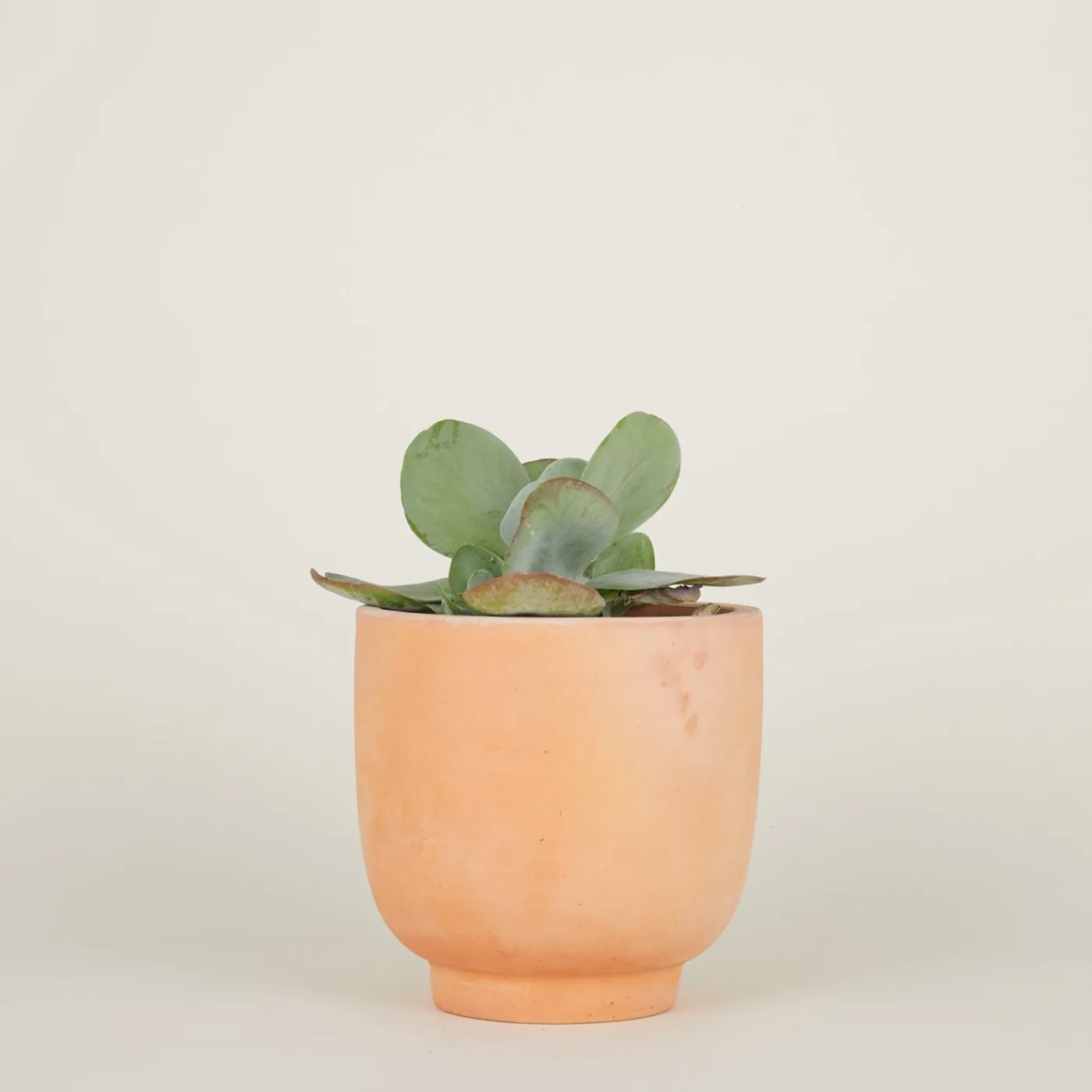 Footed Planter