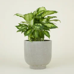 Footed Planter