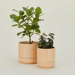 Franklin Self Watering Planter