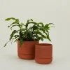 Franklin Self Watering Planter