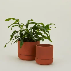 Franklin Self Watering Planter