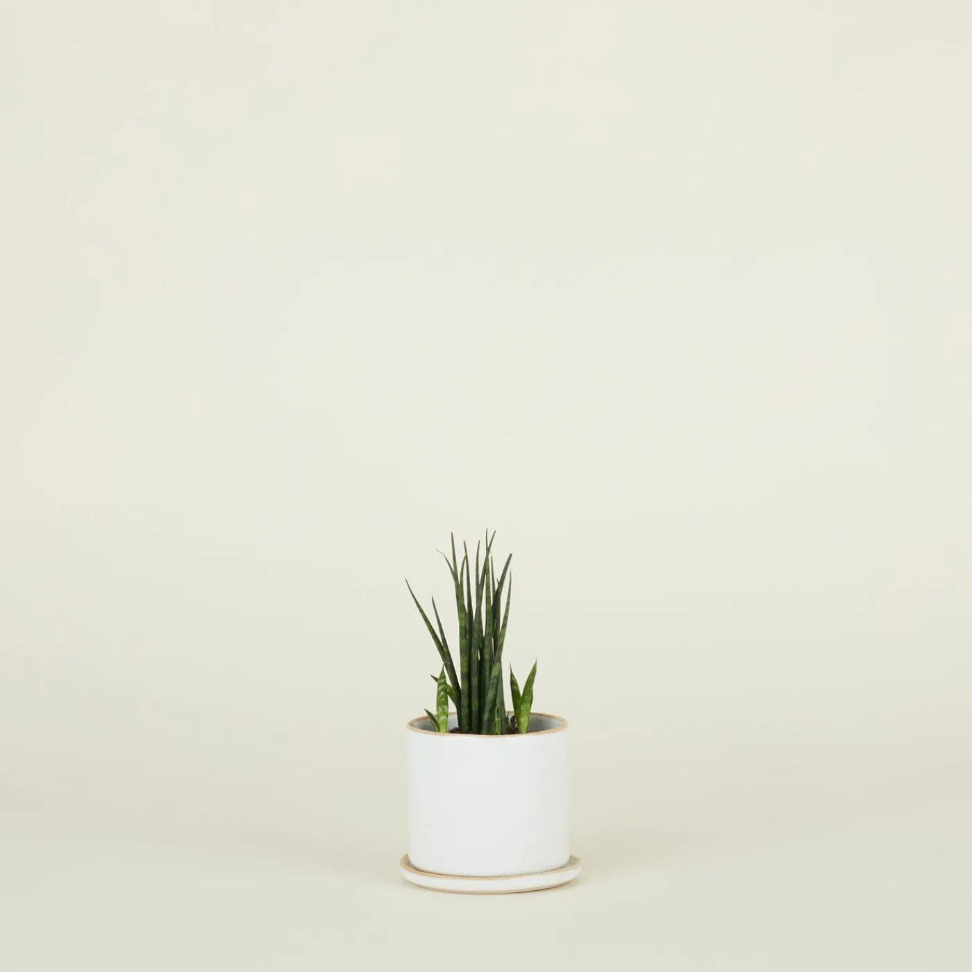 Minimal Planter