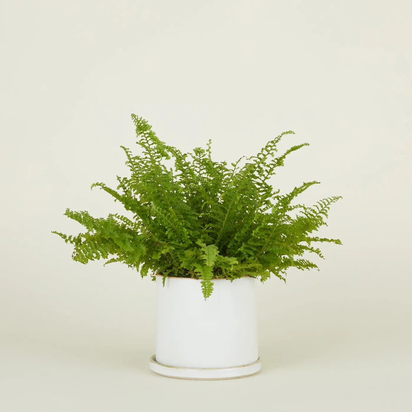 Minimal Planter