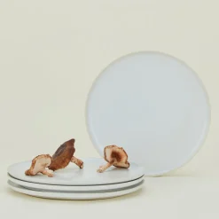 Modernist Dinner Plate