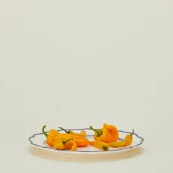 Ogee Edge Round Platter
