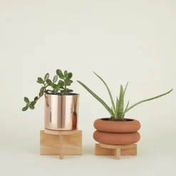 Plant Pedestal