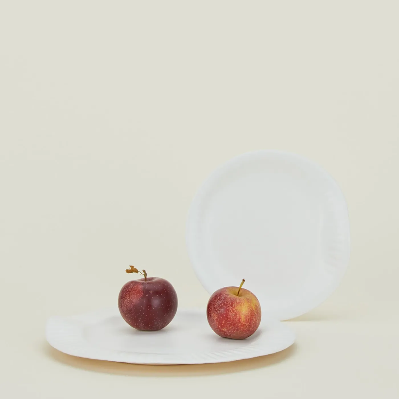 Porcelain Paper Plate