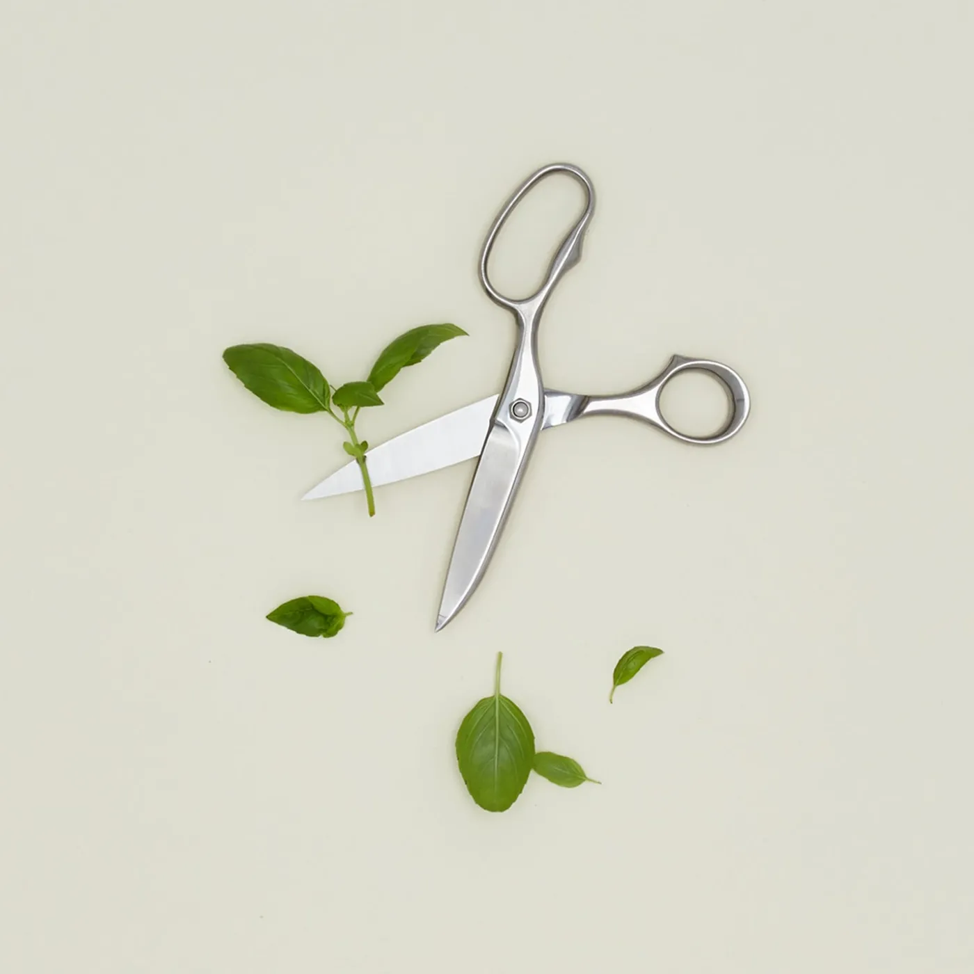 Professional Kitchen Scissors