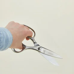 Professional Kitchen Scissors