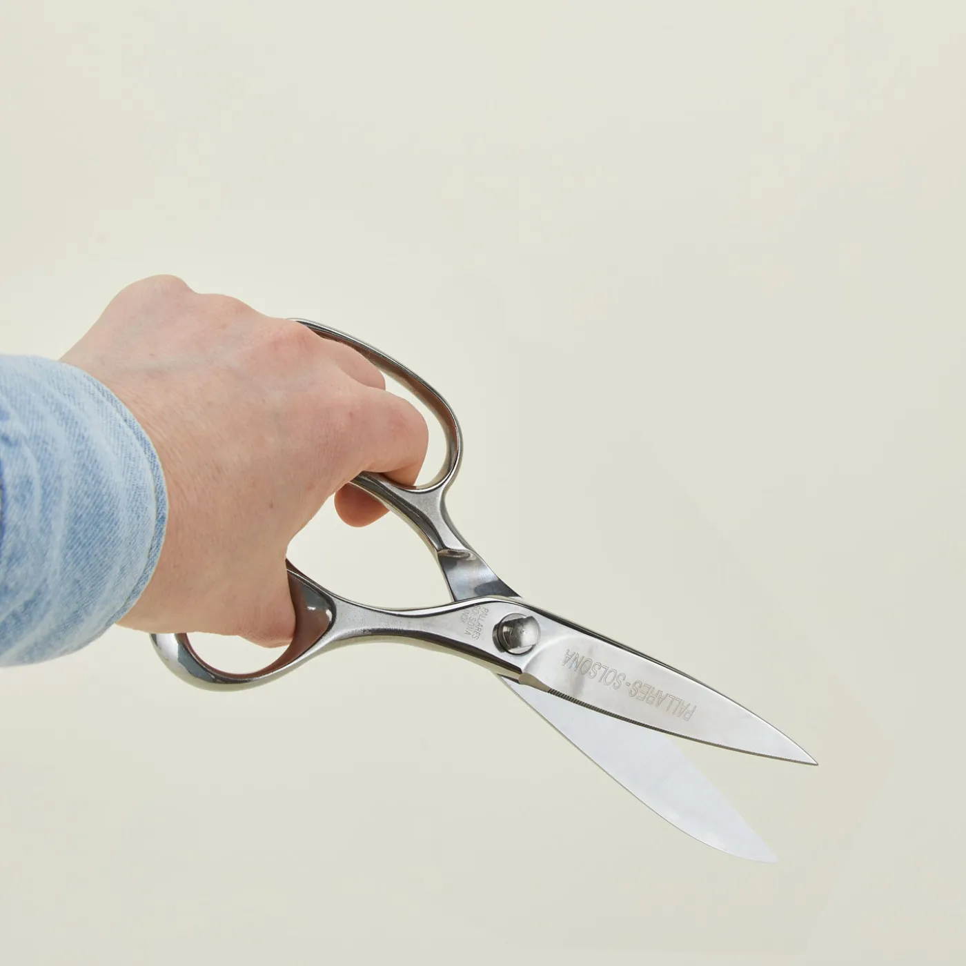 Professional Kitchen Scissors