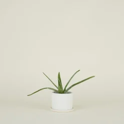 Riveted Planter