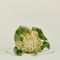 Simple Porcelain Serving Platter