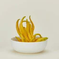 Simple Porcelain Serving Bowl