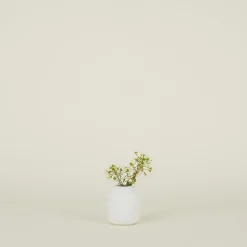 Stoneware Vase